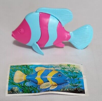 SURPRISE FISH