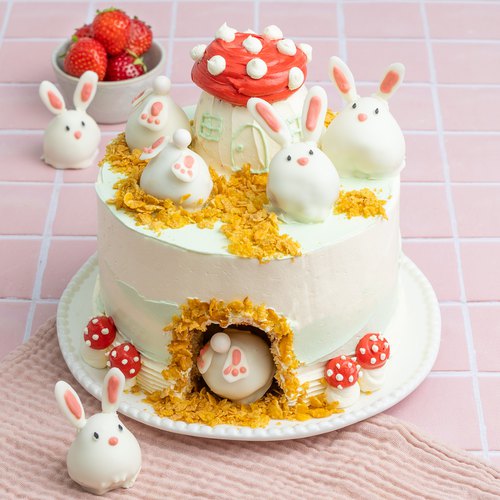 [2313387] CAKE