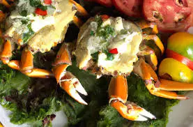 [2344830] CRABE LANTILLAISE